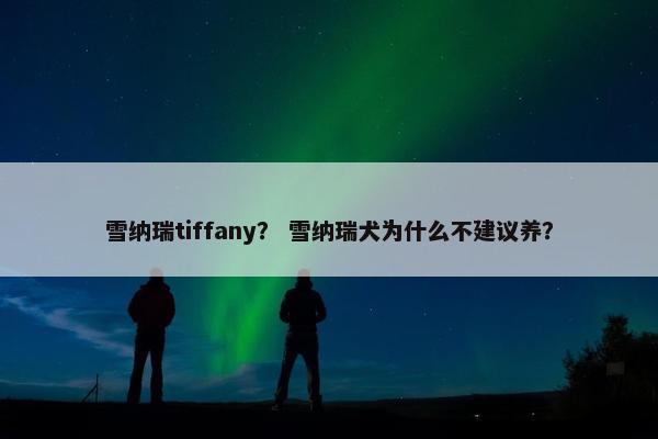 雪纳瑞tiffany? 雪纳瑞犬为什么不建议养? 雪纳瑞tiffany? 雪纳瑞犬为什么不建议养?