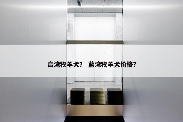 高湾牧羊犬？ 蓝湾牧羊犬价格？