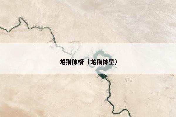 龙猫体格（龙猫体型）