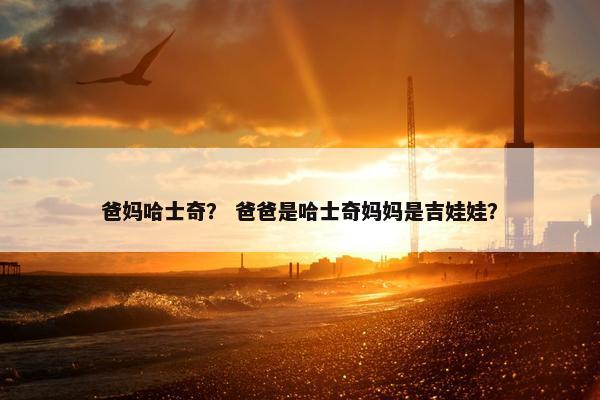 爸妈哈士奇？ 爸爸是哈士奇妈妈是吉娃娃？