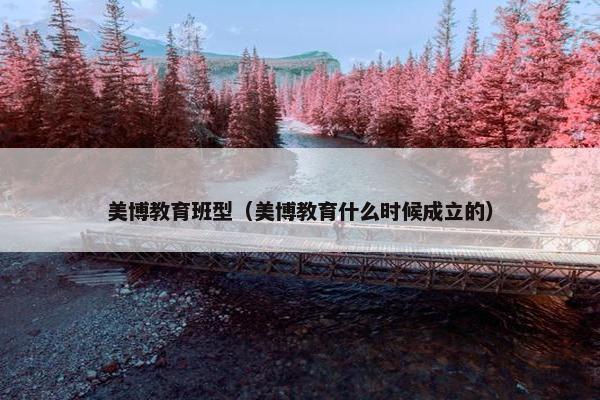 美博教育班型（美博教育什么时候成立的）
