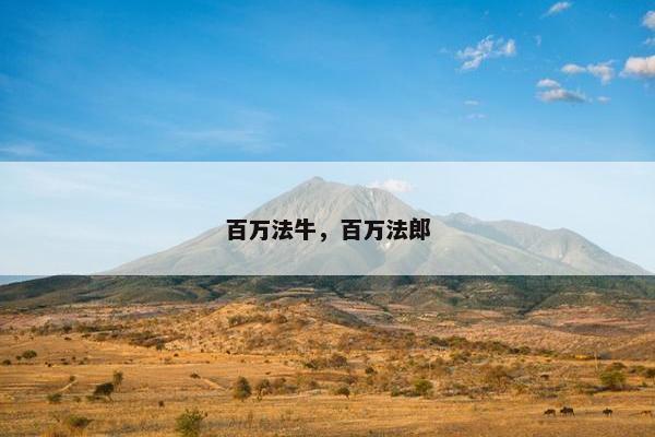 百万法牛，百万法郎