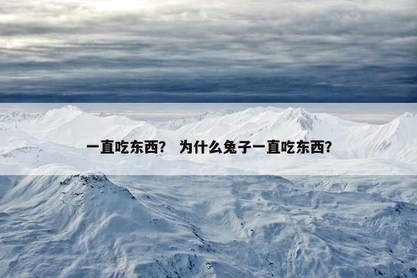 一直吃东西？ 为什么兔子一直吃东西？