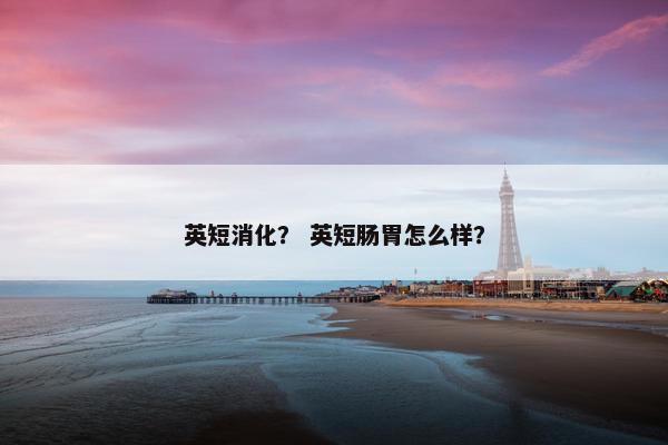英短消化？ 英短肠胃怎么样？