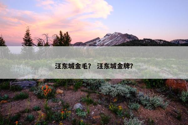 汪东城金毛？ 汪东城金牌？