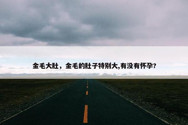 金毛大肚，金毛的肚子特别大,有没有怀孕?