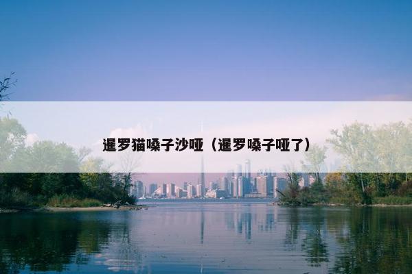 暹罗猫嗓子沙哑（暹罗嗓子哑了）