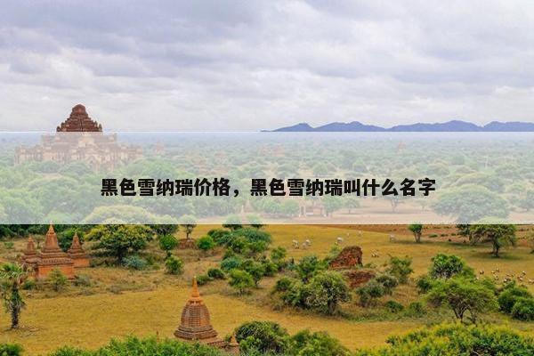 黑色雪纳瑞价格，黑色雪纳瑞叫什么名字