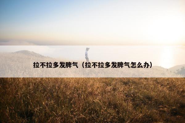 拉不拉多发脾气（拉不拉多发脾气怎么办）