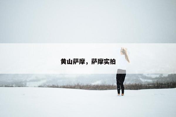 黄山萨摩，萨摩实拍