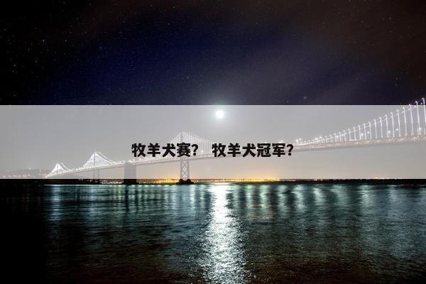 牧羊犬赛？ 牧羊犬冠军？