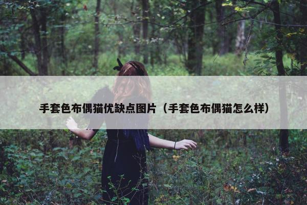 手套色布偶猫优缺点图片（手套色布偶猫怎么样）