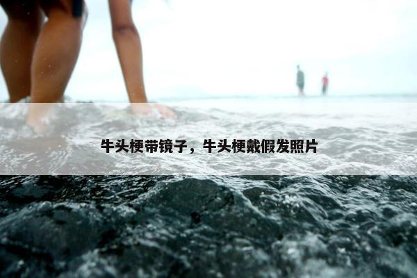 牛头梗带镜子,牛头梗戴假发照片 牛头梗带镜子,牛头梗戴假发照片