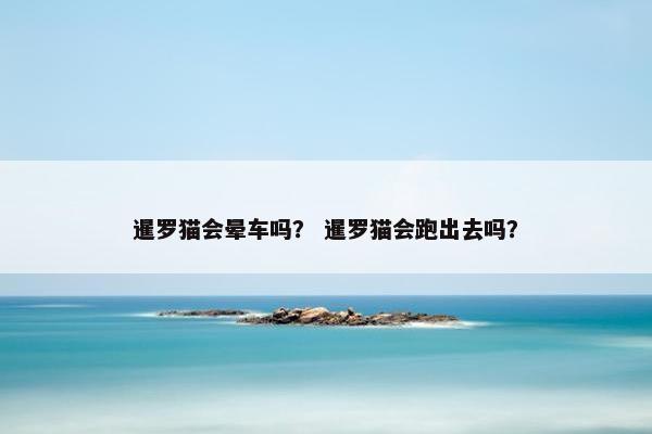 暹罗猫会晕车吗? 暹罗猫会跑出去吗? 暹罗猫会晕车吗? 暹罗猫会跑出去吗?