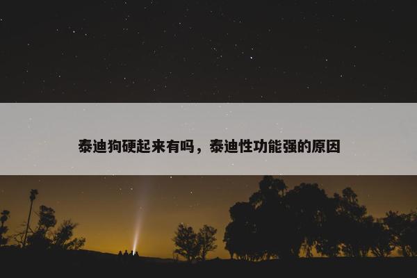 泰迪狗硬起来有吗，泰迪性功能强的原因