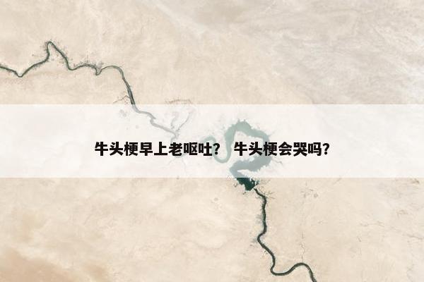 牛头梗早上老呕吐？ 牛头梗会哭吗？