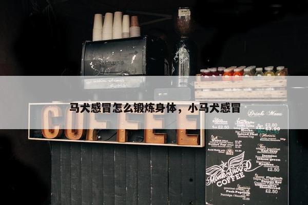 马犬感冒怎么锻炼身体，小马犬感冒