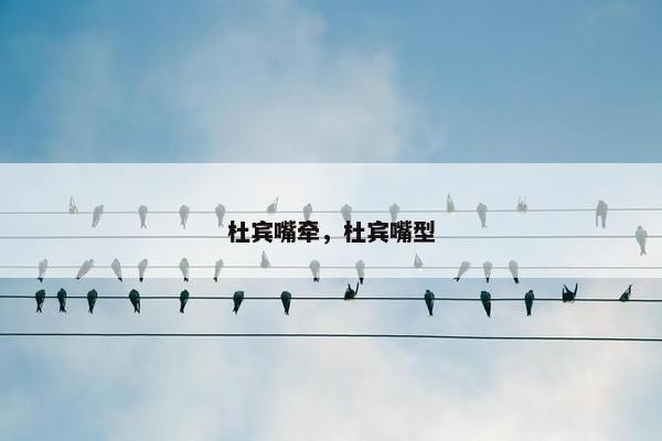 杜宾嘴牵，杜宾嘴型