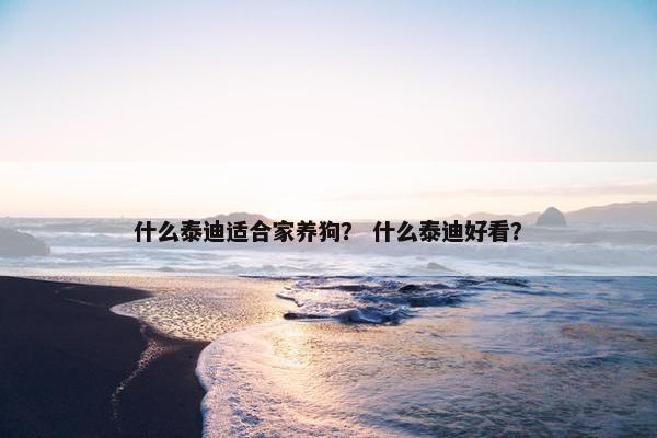 什么泰迪适合家养狗？ 什么泰迪好看？