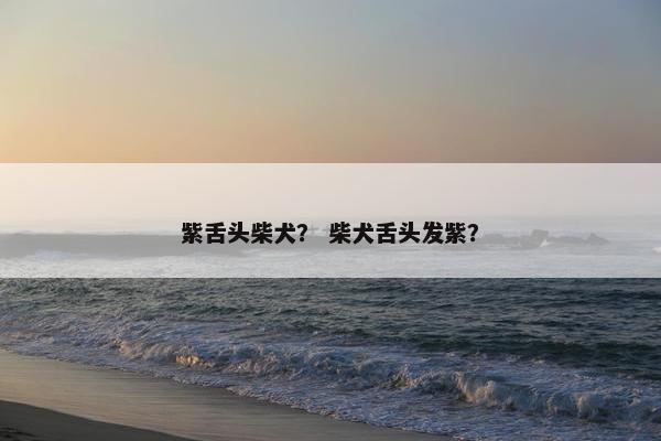 紫舌头柴犬？ 柴犬舌头发紫？