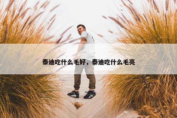 泰迪吃什么毛好，泰迪吃什么毛亮