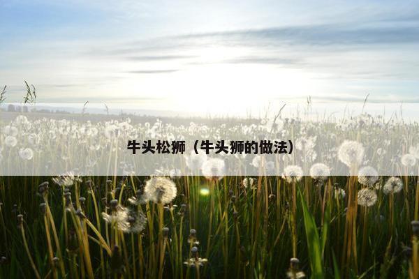 牛头松狮（牛头狮的做法）