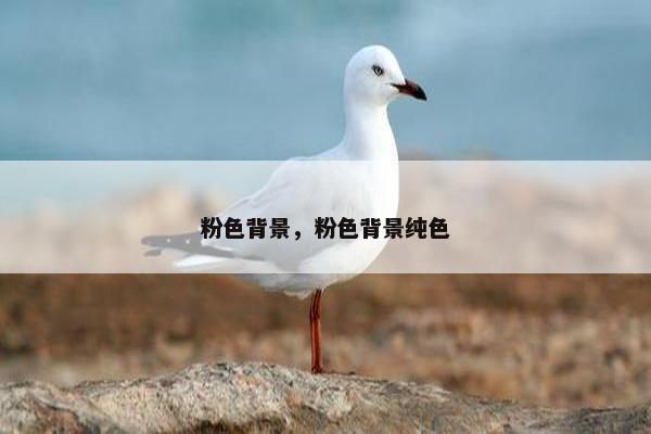 粉色背景，粉色背景纯色