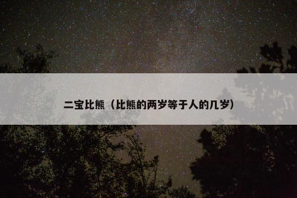 二宝比熊（比熊的两岁等于人的几岁）