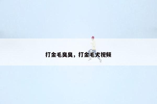 打金毛臭臭，打金毛犬视频