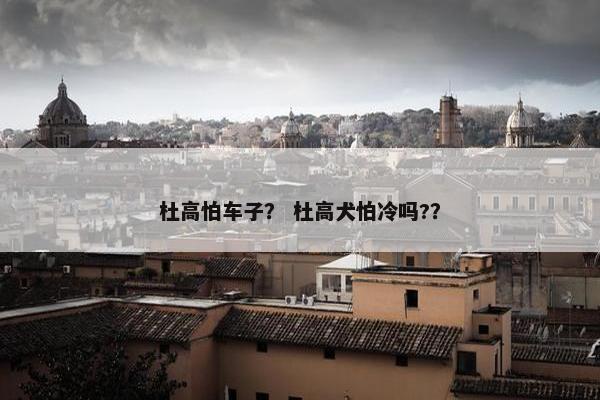 杜高怕车子？ 杜高犬怕冷吗?？