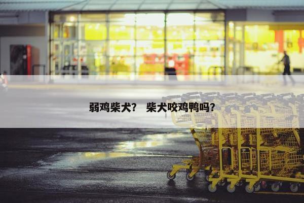 弱鸡柴犬？ 柴犬咬鸡鸭吗？