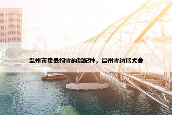 温州市走丢狗雪纳瑞配种，温州雪纳瑞犬舍