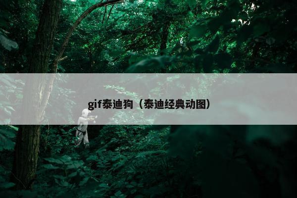 gif泰迪狗(泰迪经典动图) gif泰迪狗(泰迪经典动图)