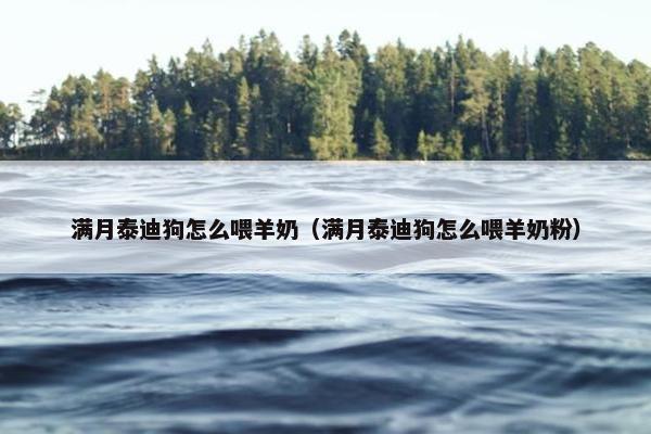满月泰迪狗怎么喂羊奶（满月泰迪狗怎么喂羊奶粉）