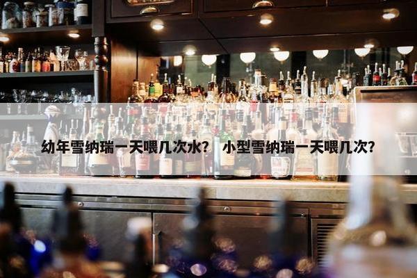 幼年雪纳瑞一天喂几次水？ 小型雪纳瑞一天喂几次？