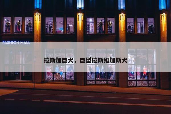 拉斯加巨犬，巨型拉斯维加斯犬