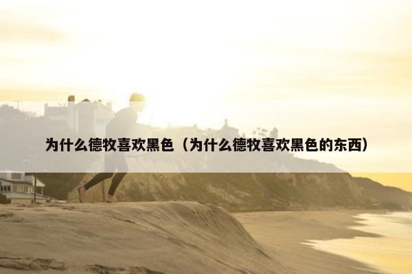 为什么德牧喜欢黑色（为什么德牧喜欢黑色的东西）
