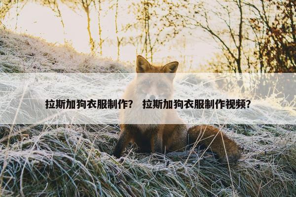 拉斯加狗衣服制作？ 拉斯加狗衣服制作视频？