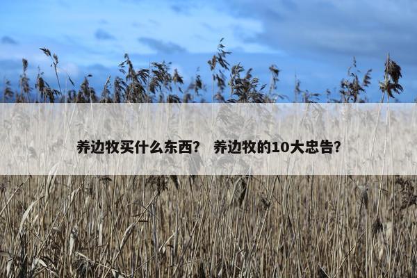 养边牧买什么东西？ 养边牧的10大忠告？