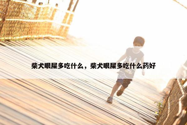 柴犬眼屎多吃什么，柴犬眼屎多吃什么药好