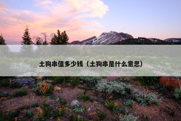 土狗串值多少钱（土狗串是什么意思）