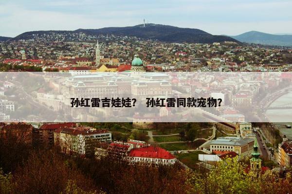 孙红雷吉娃娃？ 孙红雷同款宠物？