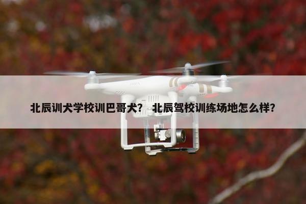 北辰训犬学校训巴哥犬？ 北辰驾校训练场地怎么样？