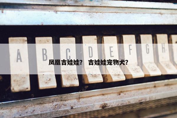 凤凰吉娃娃？ 吉娃娃宠物犬？