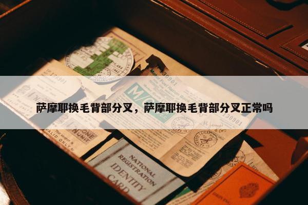 萨摩耶换毛背部分叉，萨摩耶换毛背部分叉正常吗