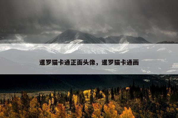 暹罗猫卡通正面头像，暹罗猫卡通画