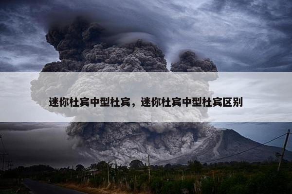 迷你杜宾中型杜宾，迷你杜宾中型杜宾区别