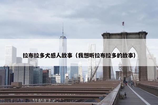 拉布拉多犬感人故事（我想听拉布拉多的故事）