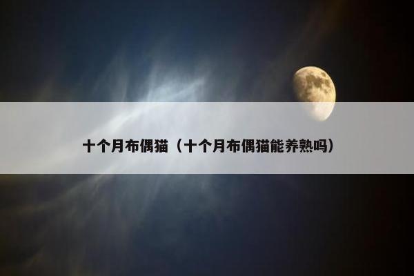 十个月布偶猫（十个月布偶猫能养熟吗）