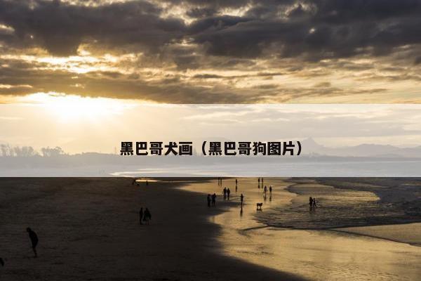 黑巴哥犬画（黑巴哥狗图片）